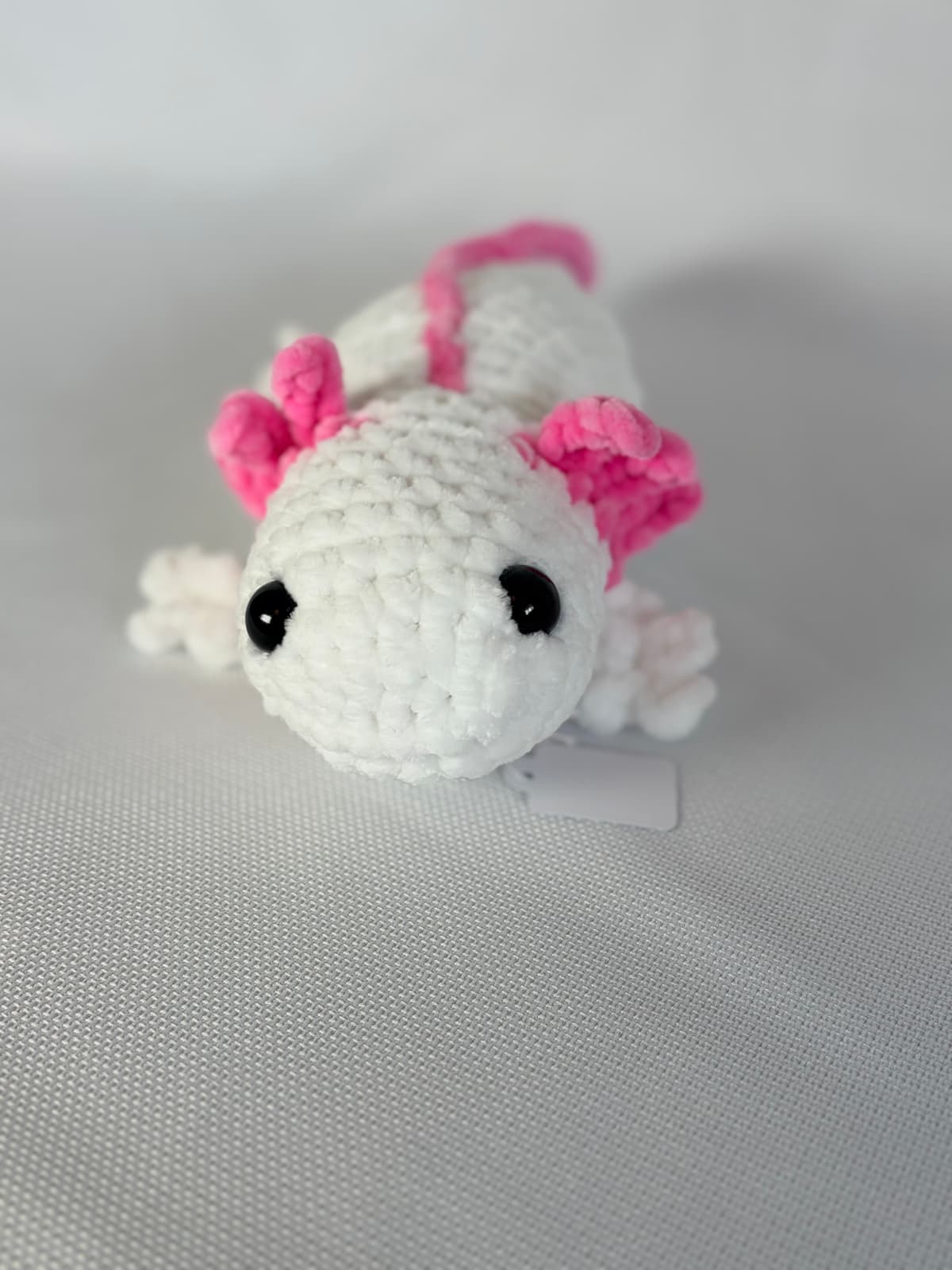 Axolotl’s