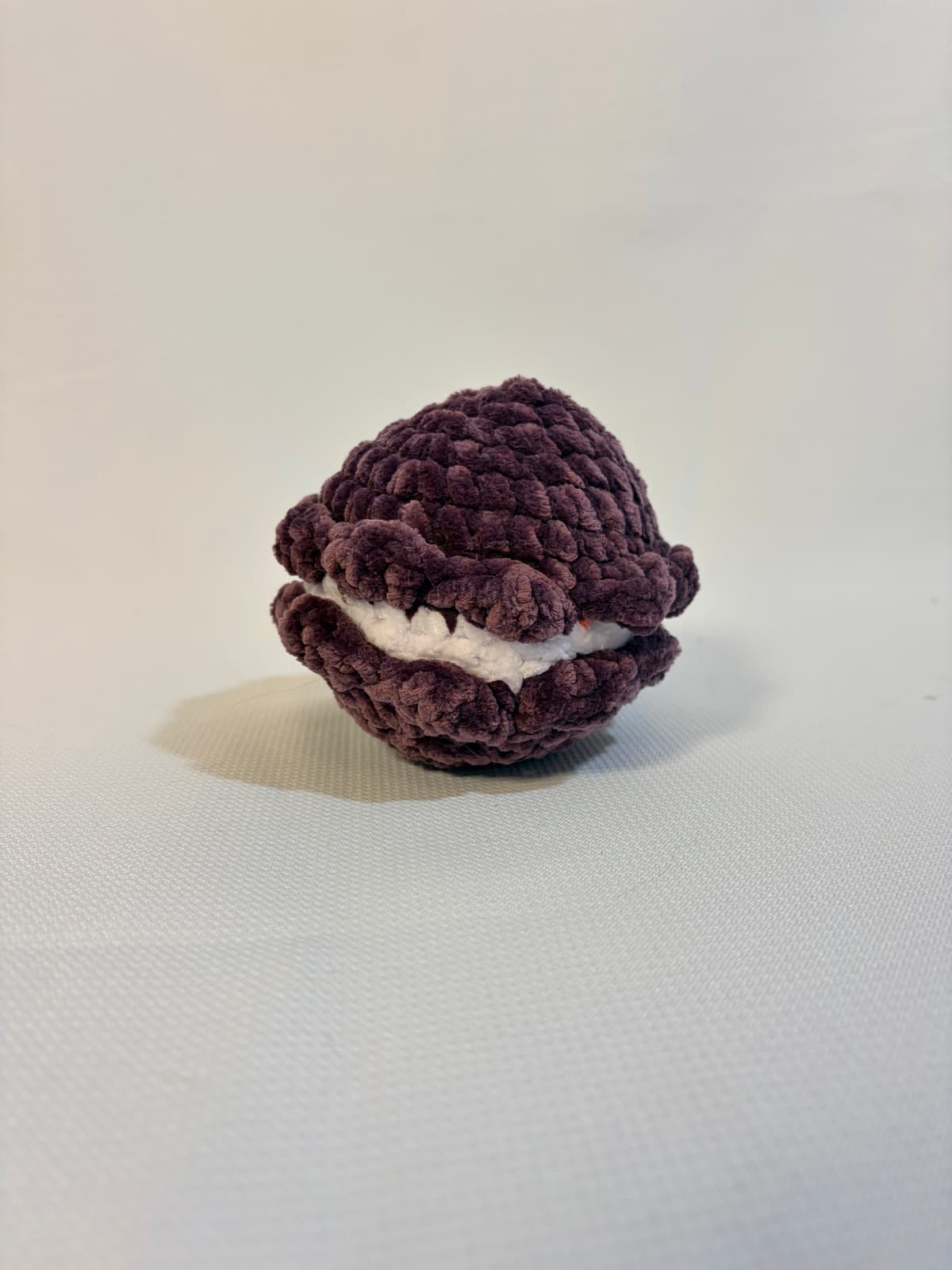 Clam